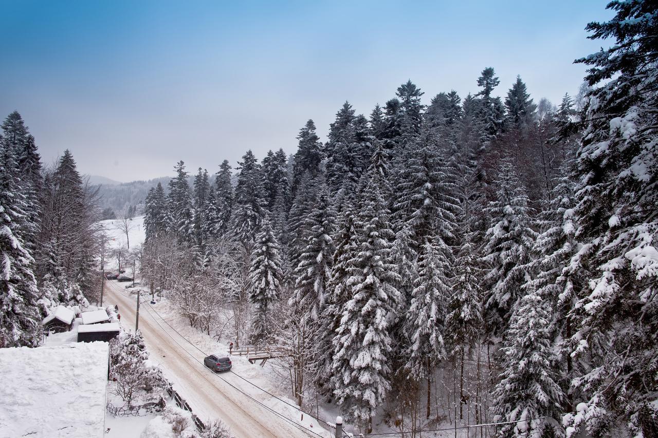 Apartamenty Sun & Snow Zielona Krynica Zdroj Exterior photo